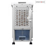 Royalty Line Ventilateur, refroidisseur d'air, humidificateur et purificateur 4 en 1