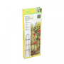 Kinzo Colonne de roses de jardin - Vert 185x40cm