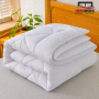 Herzberg HG-24267WD: Couette Blanche De Qualité Hôtelière 4 Étoiles - 240x200cm