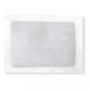 Wellys GI-122108: Set of 10 Bamboo Plaster - Ginger