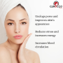 Cenocco CC-9049: 4 in 1 Complete Body Care System