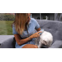 Genius Ideas Brosse ionisante pour animaux
