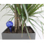Genius Ideas Distributeur d'Eau pour Plantes 'Mini-Ampoule' - Lot de 2